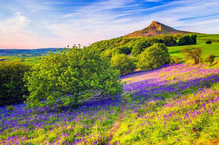 Roseberry Topping