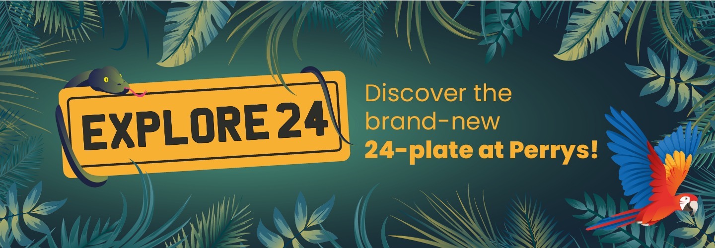 Explore New 24 plate