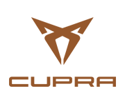 cupra aftersales at Perrys